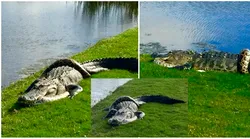 Galerie foto - Poza #1